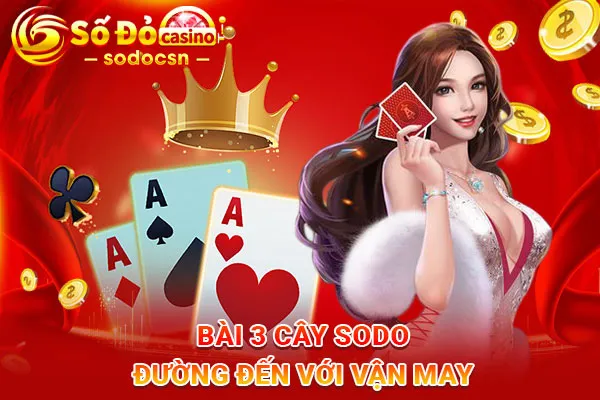 Bài-3-Cây-SODO-Đường-Đến-Với-Vận-May_7