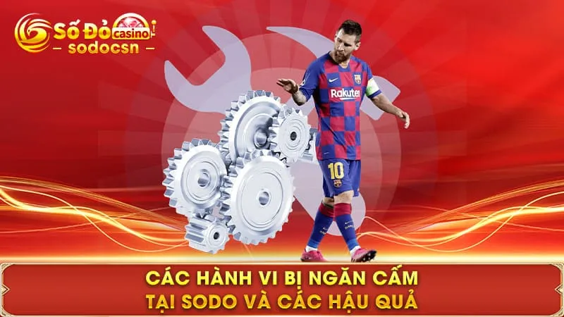 Các hành vi bị ngăn cấm tại SODO và các hậu quả