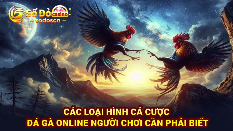 Các loại hình cá cược đá gà online người chơi cần phải biết