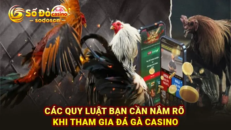 Các quy luật bạn cần nắm rõ khi tham gia đá gà casino