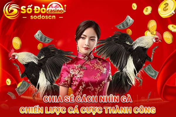 Chia-Sẻ-Cách-Nhìn-Gà-Chiến-Lược-Cá-Cược-Thành-Công