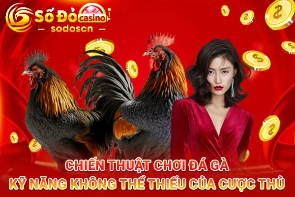 Chiến-Thuật-Chơi-Đá-Gà-Kỹ-Năng-Không-Thể-Thiếu-Của-Cược-Thủ