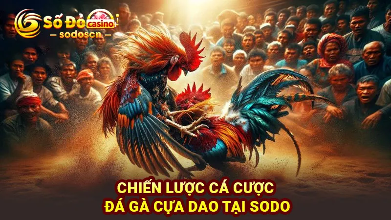 Chiến lược cá cược đá gà cựa dao tại SODO