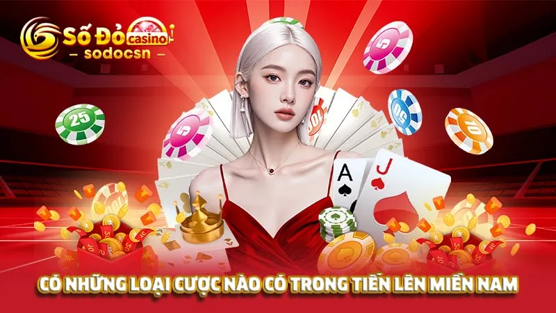 Có những loại cược nào có trong tiến lên miền Nam
