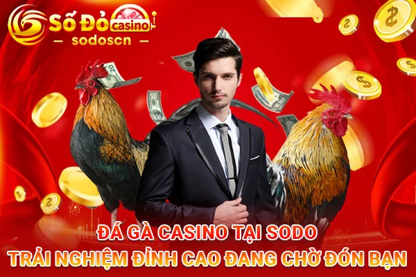 Đá-Gà-Casino-Tại-SODO-Trải-Nghiệm-Đỉnh-Cao-Đang-Chờ-Đón-Bạn