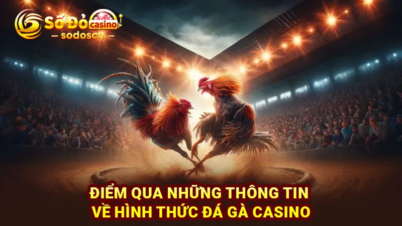 Điểm qua những thông tin về hình thức đá gà casino