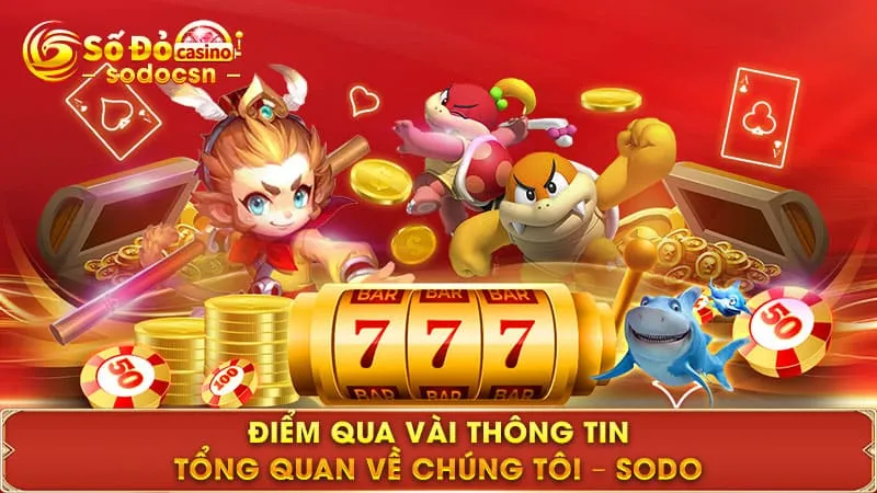 Điểm qua vài thông tin tổng quan về chúng tôi - SODO