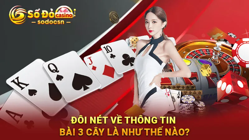 Đôi nét về thông tin bài 3 cây là như thế nào?