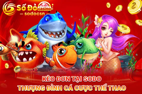 Kèo-Đơn-Tại-SODO-Thượng-Đỉnh-Cá-Cược-Thể-Thao_14