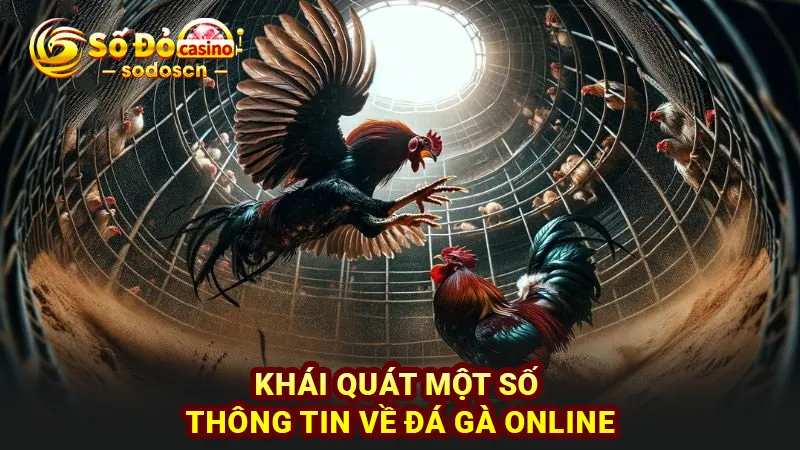 Khái quát một số thông tin về đá gà online