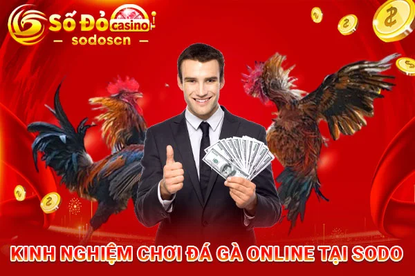 Kinh-Nghiệm-Chơi-Đá-Gà-Online-Tại-SODO