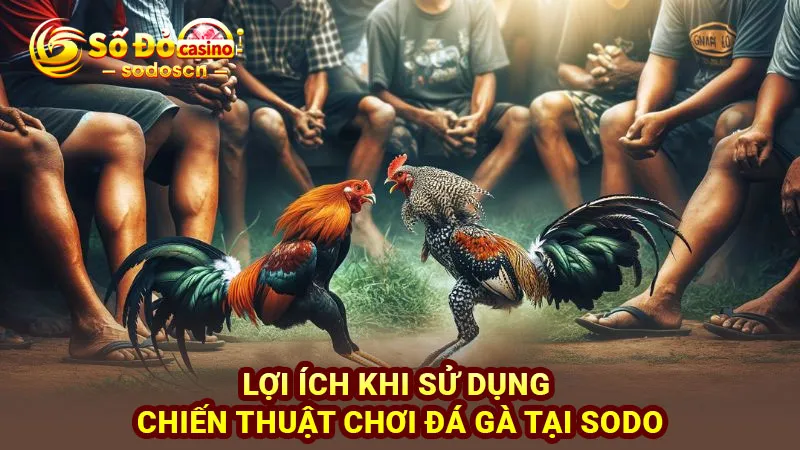 Lợi ích khi sử dụng chiến thuật chơi đá gà tại SODO