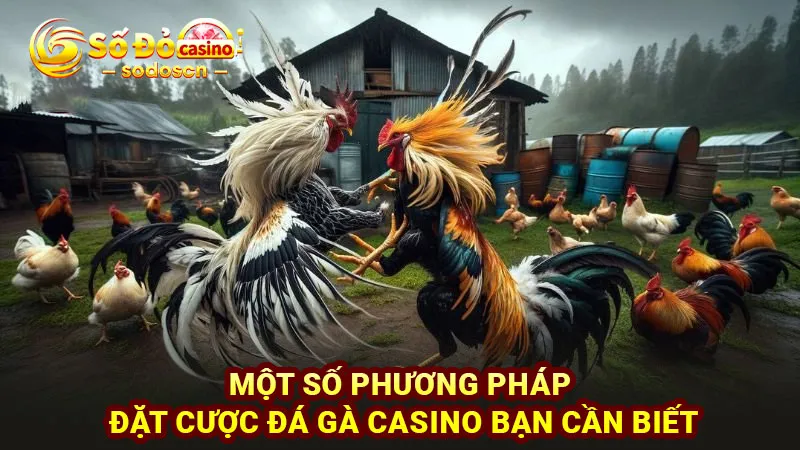 Một số phương pháp đặt cược đá gà casino bạn cần biết