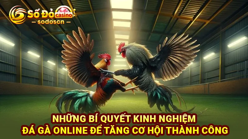 Những bí quyết kinh nghiệm đá gà online để tăng cơ hội thành công