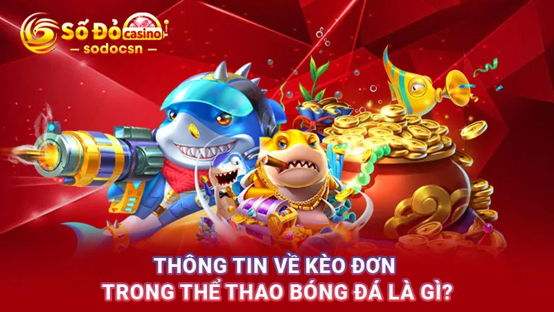 Thông tin về kèo đơn trong thể thao bóng đá là gì?