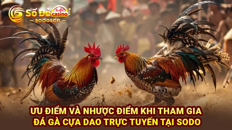 Ưu điểm và nhược điểm khi tham gia đá gà cựa dao trực tuyến tại SODO