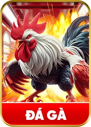đá gà sodo casino